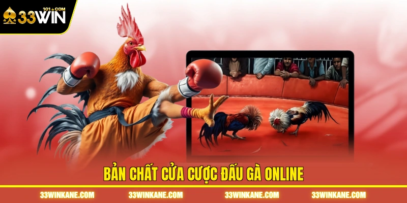 Bản chất cửa cược đấu gà online