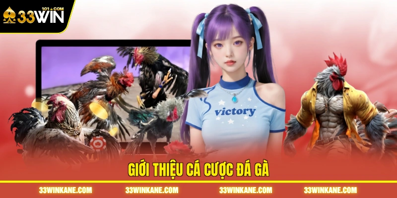 Giới thiệu cá cược đá gà