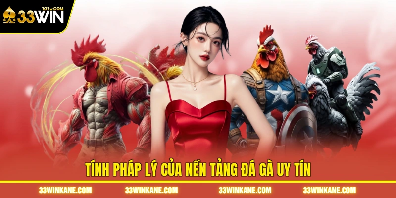 Đá Gà Uy Tín - Trải Nghiệm Những Trận Đấu Chất Lượng Cao 5 Tính pháp lý của nền tảng đá gà uy tín